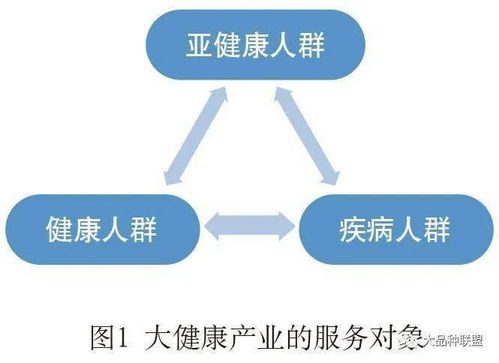 健康咨詢服務 我國大健康產業(yè)的關鍵環(huán)節(jié)與發(fā)展路徑